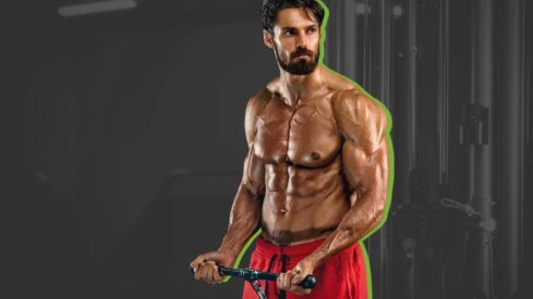 16 Best Biceps Exercises for a Muscle-Building Workout