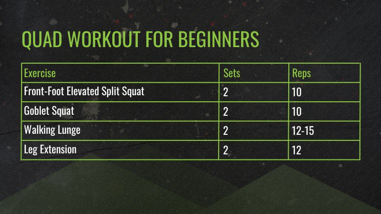 The Quad Workouts for Beginners table
