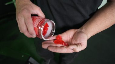 A person holds a handful of red Swoly Creatine Gummies.