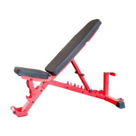 Giant Lifting Adjustable Weight Bench